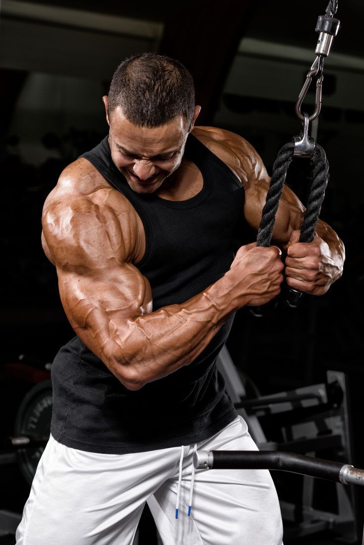 Gymtelligent - Tập luyện đúng kỹ thuật